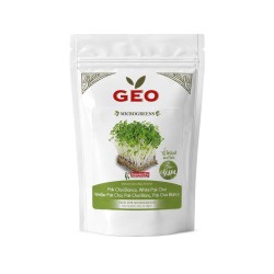 Semillas de Pak Choi blanco para microgreens ecológicas, 200 g - Bavicchi GEO