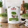 Semillas de Pak Choi blanco para microgreens ecológicas, 200 g - Bavicchi GEO