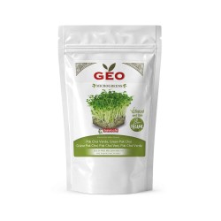 Semillas de Pak Choi verde para microgreens ecológicas, 200 g - Bavicchi GEO