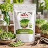 Semillas de Pak Choi verde para microgreens ecológicas, 200 g - Bavicchi GEO