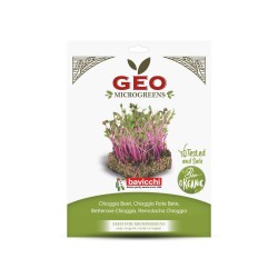 Semillas de remolacha Chioggia para microgreens ecológicas, 15 g - Bavicchi GEO
