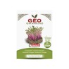 Semillas de remolacha Chioggia para microgreens ecológicas, 15 g - Bavicchi GEO