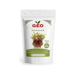 Semillas de remolacha Bull’s Blood para microgreens ecológicas, 200 g - Bavicchi GEO