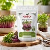 Semillas de Remolacha Chioggia para microgreens ecológicas, 250 g - Bavicchi GEO