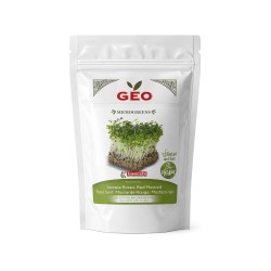Semillas de mostaza roja para microgreens ecológicas, 200 g - Bavicchi GEO
