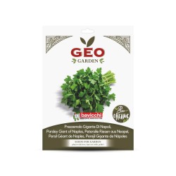Semillas de perejil gigante de Nápoles ecológicas, 4 g - Bavicchi GEO