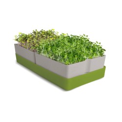 Bandeja Geo Smart Greens y 2 bolsas de sustrato para microgreens -  Bavicchi