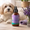 Bruma de uso diario Violeta ecológica para perros, 100 ml - The Doog Life