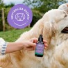 Bruma de uso diario Violeta ecológica para perros, 100 ml - The Doog Life