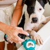 Cepillo de baño para perros - The Doog Life
