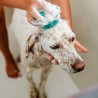 Cepillo de baño para perros - The Doog Life