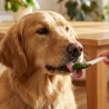 Pasta de dientes natural para mascotas, 100 g - The Doog Life