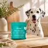 Complemento pelo y piel para perros y gatos en polvo, 120 g - The Doog Life