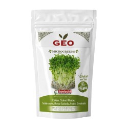 Semillas de nabo para microgreens ecológicas, 500 g - Bavicchi GEO