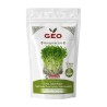 Semillas de nabo para microgreens ecológicas, 500 g - Bavicchi GEO