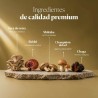 Jarabe infantil Dr Inmune Five - Hifas da Terra