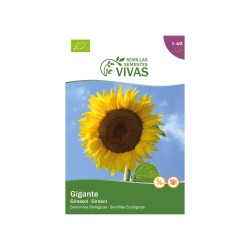 Semillas de girasol gigante ecológicas, 5 g - Sementes vivas