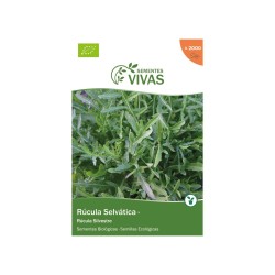 Semillas de rúcula silvestre ecológicas, 1 g - Sementes vivas