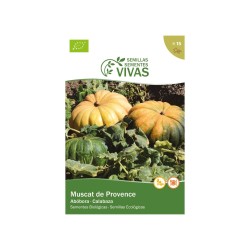 Semillas de calabaza Muscat de Provence ecológicas , 2 g - Sementes Vivas