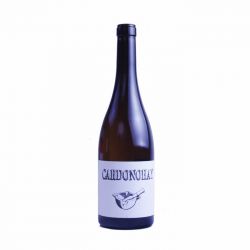 Vino blanco natural Cardonohay - Barranco Oscuro