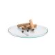 Plato de cristal - Trendglas