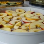 Deshidratar manzanas en Dorrex en bandeja pp
