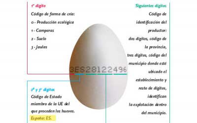 Entender los huevos