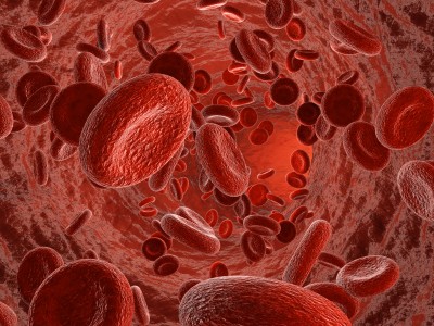 Glóbulos rojos o hematies en el torrente sanguíneo