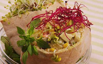 Pan de pita relleno de verduras