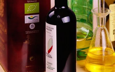La salud del aceite de oliva y nuestra salud