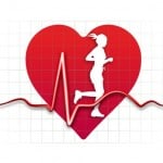 Cómo trabaja el sistema cardiovascular mientras realizamos una actividad física