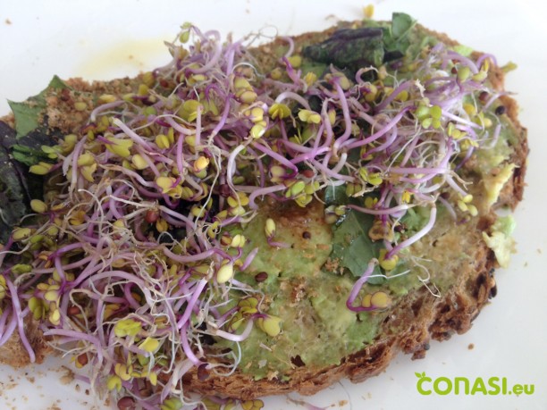 Un ejemplo de desayuno SEN: tostadas con germinados