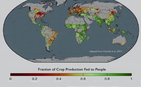 Seguridad alimentaria global