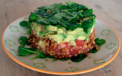 Tartar vegetariano de lentejas y aguacate