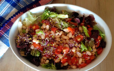 Ensalada fresca de alubias y hojas verdes