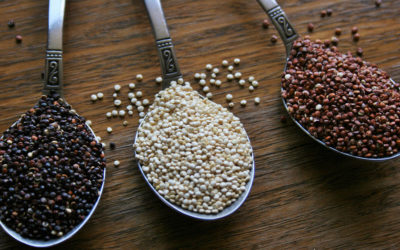 Quinoa: qué es, variedades y propiedades