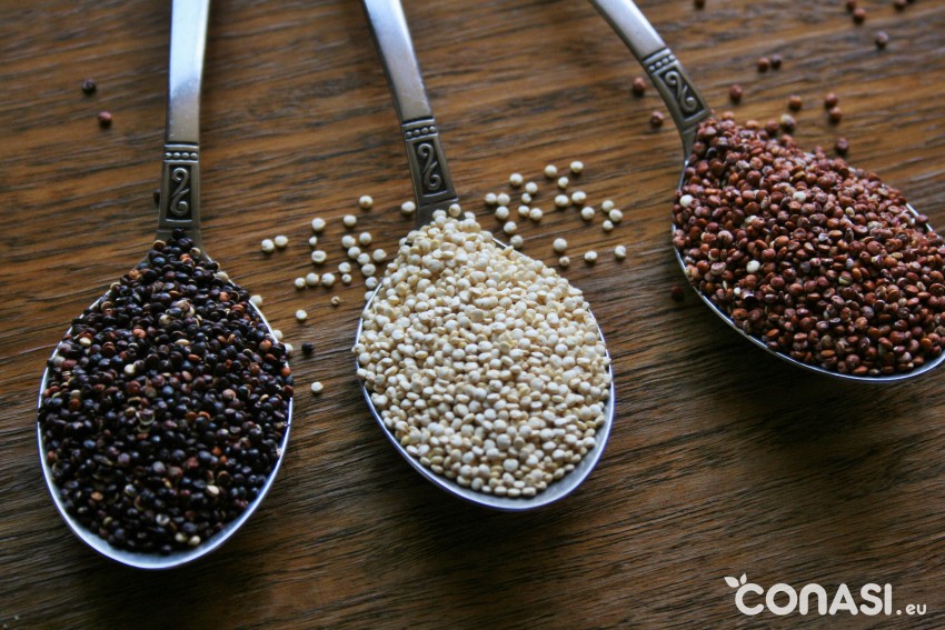 quinoa-variedades