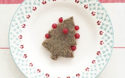 Galletas de frutos secos, avena y jengibre