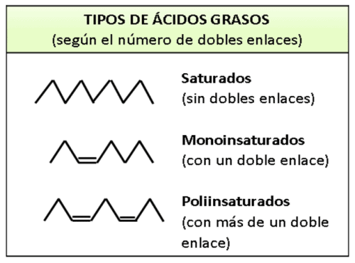 tabla-resumen-tipos-acidos-grasos