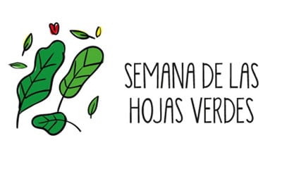 Semana 1, revitaliza tu vida - Hojas verdes