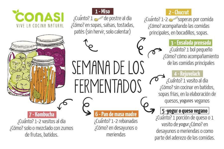 los fermentados refuerzan tu organismo fermentados