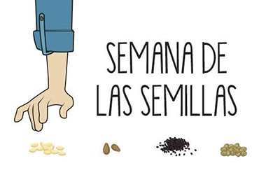 Semana 6, revitaliza tu vida - Las semillas