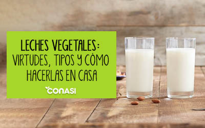 Haz tu propia leche vegetal casera