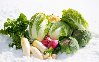 Calendario de invierno de frutas y verduras
