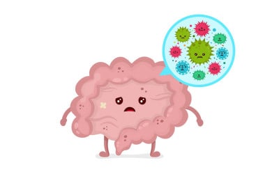 Disbiosis intestinal: qué es, tipos, causas y cómo evitarla