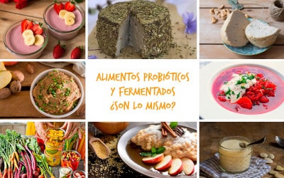 Alimentos probióticos y fermentados: ¿son lo mismo?