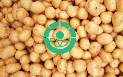 ¿Son saludables los alimentos irradiados?