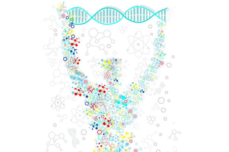 Una persona con una cadena de DNA - Enfermendades autoinmunes