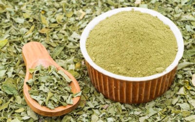 Moringa Oleifera: propiedades y usos