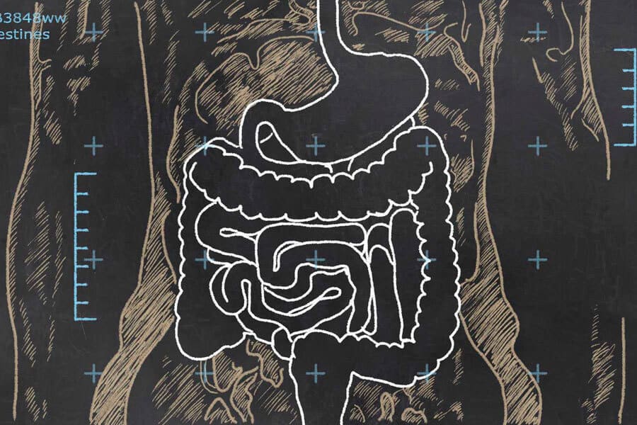 El sistema digestivo dibujado a tiza - Dieta baja en FODMAP